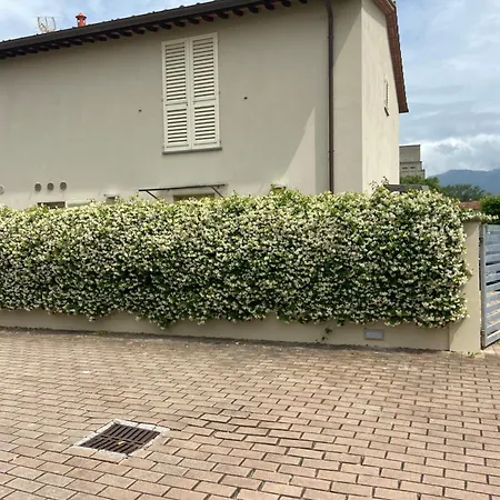 Casa Ariel-3