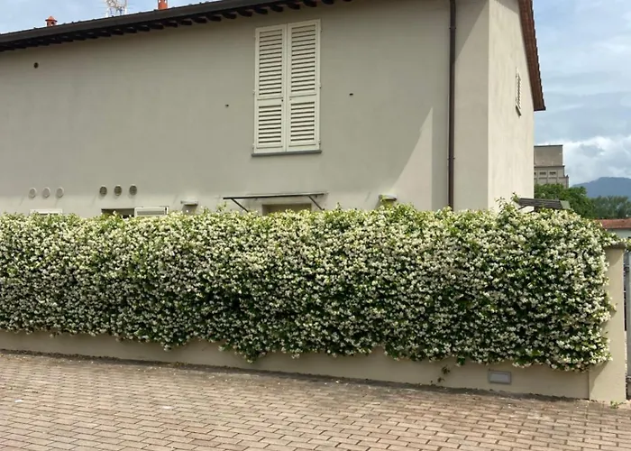 Casa Ariel Villa Lucca